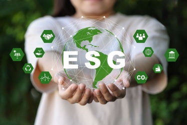 O papel estratégico dos escritórios na implementação do ESG